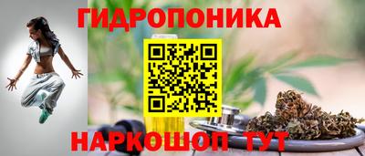 соль ск Рузаевка